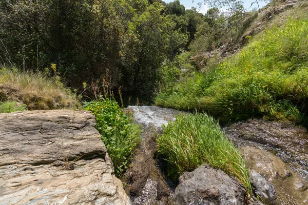 Wasser Einer Schlucht Der Sierra Nevada Gibt Einen Steineichenwald Gibt — Stockfoto