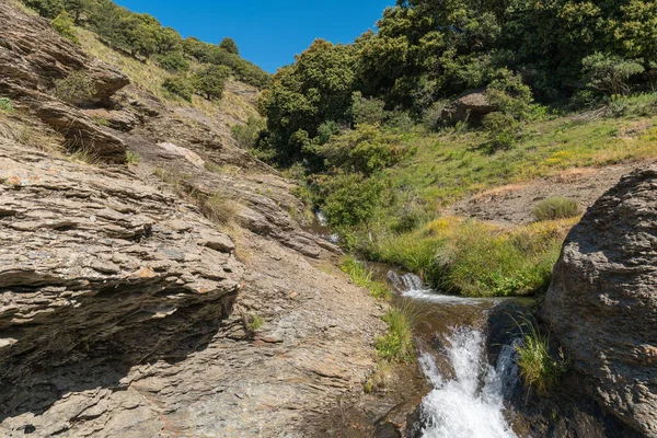 シエラネバダ山脈の渓谷を流れる水には茂みや草があり 岩や石があります — ストック写真