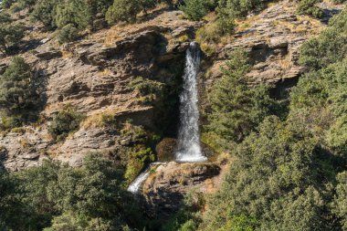Sierra Nevada 'da bir vadide şelale, çimenler, ağaçlar ve çalılar, kayalar ve taşlar var.