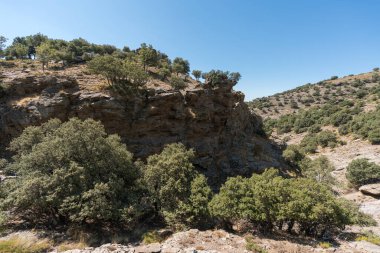 Güney İspanya 'da Sierra Nevada' nın dağlık arazisi, arazi sarp, holm meşesi ormanı var, çimen ve taşlar var, gökyüzü açık.