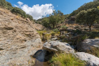 Sierra Nevada 'da bir vadiden aşağı akan sular, kayalar ve taşlar, ağaçlar, çalılar ve çimenler var, gökyüzü bulutlu.