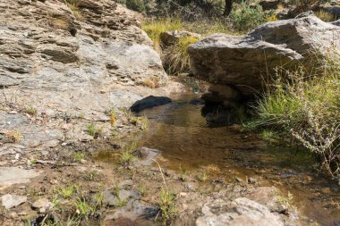Sierra Nevada 'da bir vadiden aşağı akan su, kayalar ve taşlar, çalılar ve çimenler var.