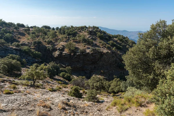 南スペインのシエラネバダ山脈の山岳風景は オークの森ですが 岩の形成は 空は明確です — ストック写真