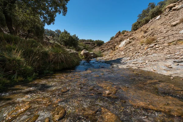 Sierra Nevadában Víz Folyik Szakadékban Sziklák Kövek Vannak Fák Bokrok — Stock Fotó