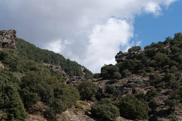 Paisagem Montanhosa Serra Nevada Sul Espanha Carvalhos Pinheiros Formações Rochosas — Fotografia de Stock