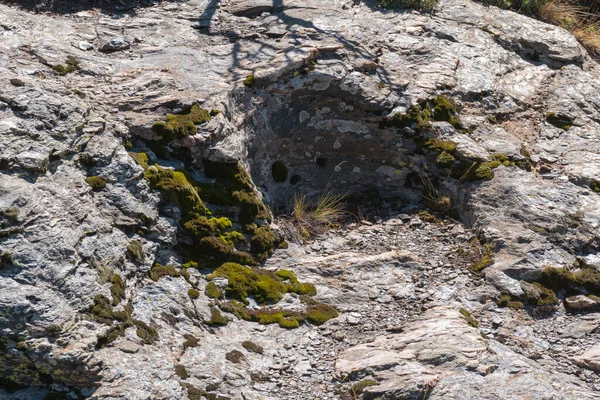 Musgo Verde Preso Uma Rocha Pequenas Pedras Grama — Fotografia de Stock