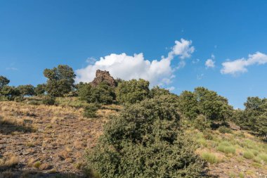 Sierra Nevada dağındaki Holm meşe ormanı. Yerde taşlar ve çimenler var. Gökyüzü temiz.