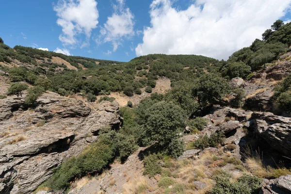 南スペインのシエラネバダ山脈の山岳風景は オークの森ですが 岩の形成は 空の雲があります — ストック写真