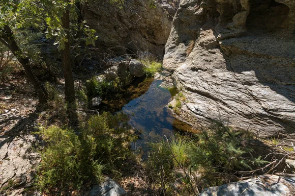 Water flowing down a ravine in Sierra Nevada, there is a pool of crystal clear water, it is a rocky area, there is grass on the rock