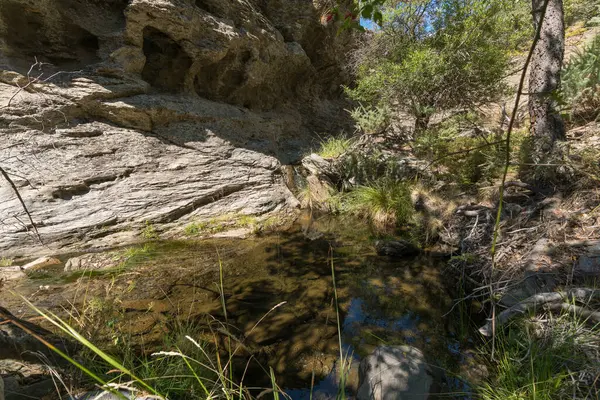 Água Que Flui Por Uma Ravina Serra Nevada Uma Piscina — Fotografia de Stock