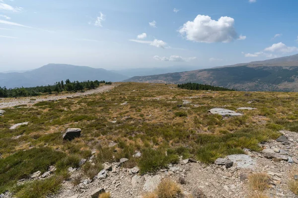 Górski Krajobraz Sierra Nevada Południowej Hiszpanii Jest Las Sosnowy Kamienie — Zdjęcie stockowe