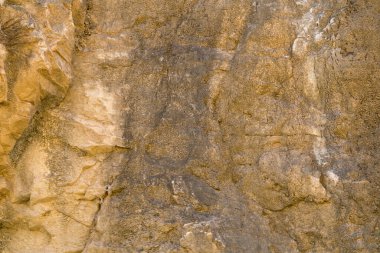 Bir kayanın düz olmayan yüzeyinde, kaya sarı ve gri, çatlaklar var.