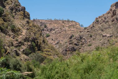 İspanya 'nın güneyindeki dağlık arazi, dağlarda büyük kayalar, çalılar ve ağaçlar var, gökyüzü açık.