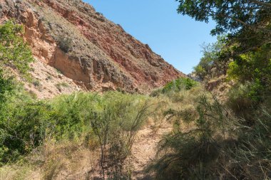 İspanya 'nın güneyindeki dağlık arazi, dağlarda büyük kayalar, çalılar ve ağaçlar var, gökyüzü açık.
