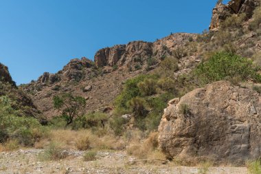 İspanya 'nın güneyindeki dağlık arazi, dağlarda büyük kayalar, çalılar ve ağaçlar var, gökyüzü açık.