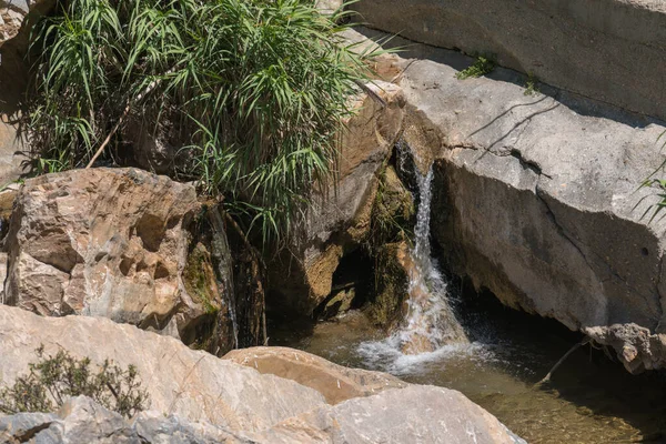 南スペインの川を流れる水は 山岳地帯ですが 地面には石が木 茂みや草があります — ストック写真