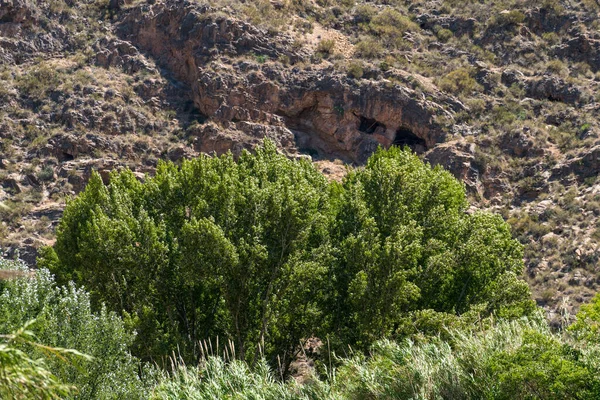 Paisagem Montanhosa Sul Espanha Grandes Rochas Montanha Arbustos Árvores — Fotografia de Stock