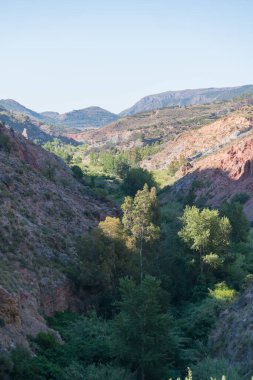Güney İspanya 'nın dağlık arazisi, dağların çalıları, kavak ağaçları ve sazlıklar var, gökyüzü açık.