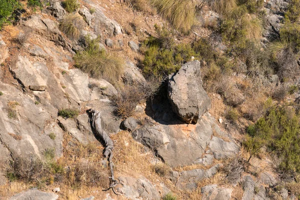 Dağın Yamacında Kayalar Çalılar Var Kuru Bir Ağaç Gövdesi Var — Stok fotoğraf