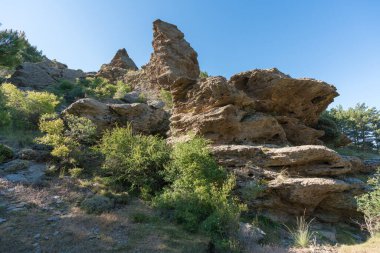 Sierra Nevada yamacında kayalar, çalılar, ağaçlar ve çimenler var, gökyüzü açık.