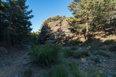 Sierra Nevada 'da bitki örtüsü olan bir vadi var, bir çam ormanı var, çalılar var, yerde taşlar ve kayalar var, gökyüzü açık.
