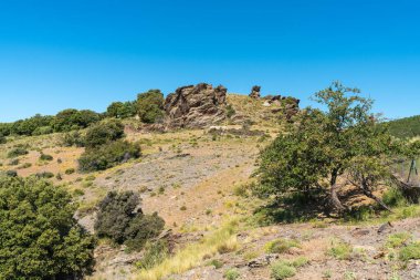 Güney İspanya 'da Sierra Nevada' daki dağlık arazi, ağaçlar, çalılar ve çimenler var, kayalar var, gökyüzü açık.