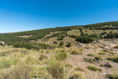 Güney İspanya 'da Sierra Nevada' daki dağlık arazi, ağaçlar, çalılar ve çimenler var, kayalar var, gökyüzü açık.
