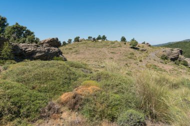 Güney İspanya 'da Sierra Nevada' daki dağlık arazi, ağaçlar, çalılar ve çimenler var, kayalar var, gökyüzü açık.