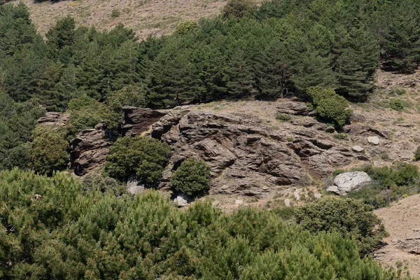 Formation Rochers Dans Montagne Sierra Nevada Des Arbres Des Buissons — Photo