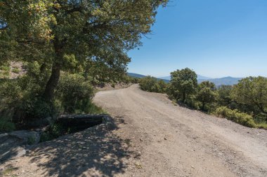 İspanya 'nın güneyinde Sierra Nevada' da toprak yol var. Meşe ağaçları ve çalılar var. Gökyüzü açık.