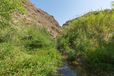 Güney İspanya 'da bir nehirden akan sular, ağaçlar, çalılar ve çimenler, taşlar, dağlık bir bölge ve gökyüzü berrak.