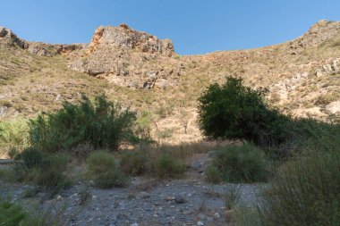 Güney İspanya 'nın dağlık arazisi, ağaçlar ve çalılar var, kayalıklar var, gökyüzü açık.