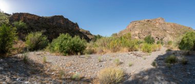 Güney İspanya 'nın dağlık arazisi, ağaçlar ve çalılar var, kayalıklar var, gökyüzü açık.