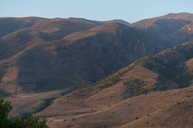 Güney İspanya 'daki Sierra Gador dağlarında gün doğumu, çam ve zeytin ormanları var, gökyüzü açık.