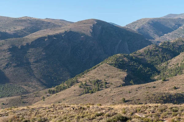 Güney İspanya 'nın dağlık arazisi, çam ormanı ve çalılar var, bölge engebeli, gökyüzü temiz.