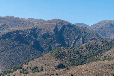 Güney İspanya 'nın dağlık arazisi, çam ormanı ve çalılar var, gökyüzü açık.