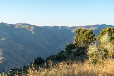 Güney İspanya 'nın dağlık arazisi. Ağaçlar ve çalılar var. Gökyüzü açık.