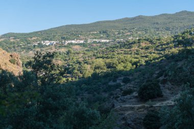 Sierra Nevada dağının yamacında bir kasaba var, kasabanın beyaz cepheleri var, ağaçlardan ormanlar var ve gökyüzü açık