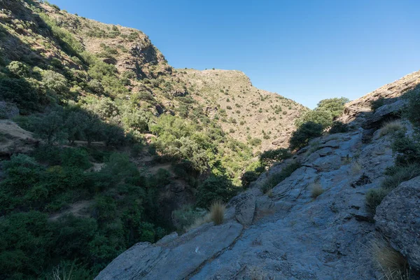 Mountainous Area South Sierra Nevada Steep Area Trees Shrubs Rocks Stock Image