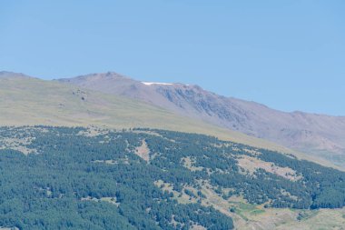 Sierra Nevada 'nın güneyindeki dağlık bölgede, bir çam ormanı var, dağın tepesinde kar var, gökyüzü açık.