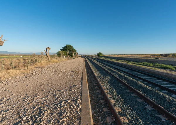İspanya 'nın güneyinde bir tren istasyonu platformu var. Demiryolları, ağaçlar ve bitki örtüsü var. Gökyüzü açık.