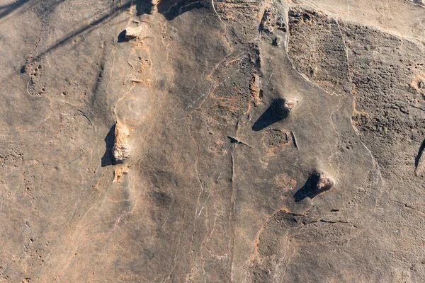 암석으로 표면에는 돌기가 — 스톡 사진