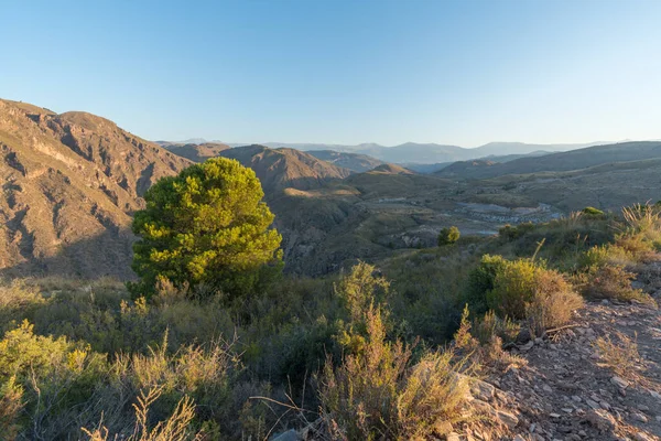 Ανατολή Στη Νότια Ισπανία Είναι Μια Ορεινή Περιοχή Υπάρχουν Θάμνοι — Φωτογραφία Αρχείου