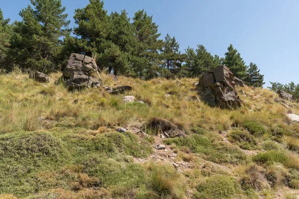 Sierra Nevada Daki Yüksek Dağ Manzarası Çalılar Ağaçlar Kayalar Var — Stok fotoğraf