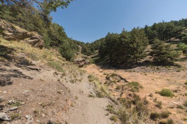 İspanya 'nın güneyindeki Sierra Nevada' nın dağlık bölgesinde kayalar ve çam ormanı var. Gökyüzü açık.