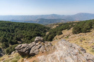 İspanya 'nın güneyindeki Sierra Nevada' nın dağlık bölgesinde kayalar ve çam ormanı var. Gökyüzü açık.