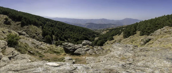 Spanya Nın Güneyindeki Sierra Nevada Nın Dağlık Bölgesinde Kayalar Çam — Stok fotoğraf