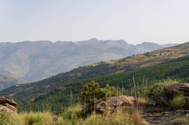 İspanya 'nın güneyindeki Sierra Nevada' nın dağlık arazisi. Çam ormanları, kayalar ve çalılar var. Gökyüzü açık.