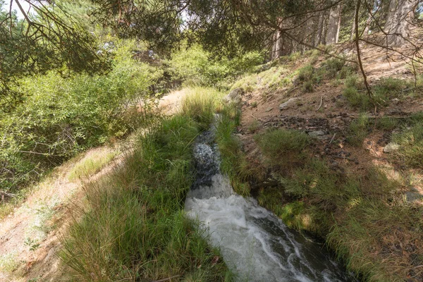 在内华达山脉的灌溉渠里流淌着水 森林里有松树和灌木 有石头 天空晴朗 — 图库照片