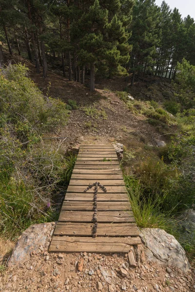 Tahta bir köprüde kozalaklarla yapılmış ok, bitki örtüsü ve taşlar var.